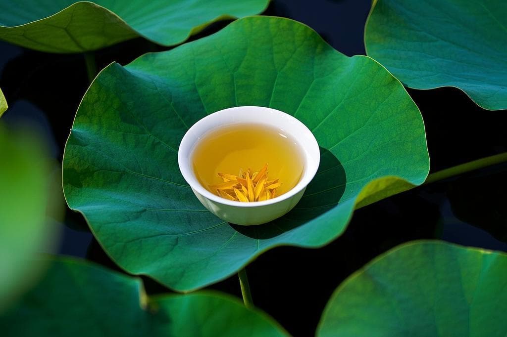 Ginger herbal tea with fresh ginger